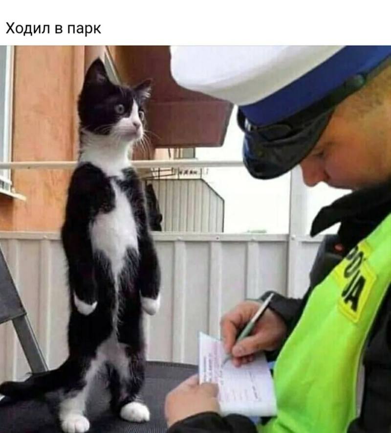 Новости Новости