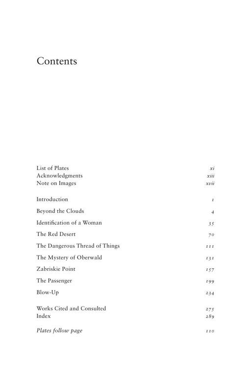 Michelangelo Red Antonioni Blue Eight Reflections on Cinema by Murray Pomerance (z-lib.org) 10