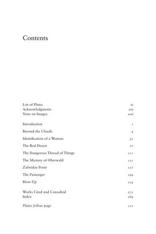 Michelangelo Red Antonioni Blue Eight Reflections on Cinema by Murray Pomerance (z-lib.org) 10