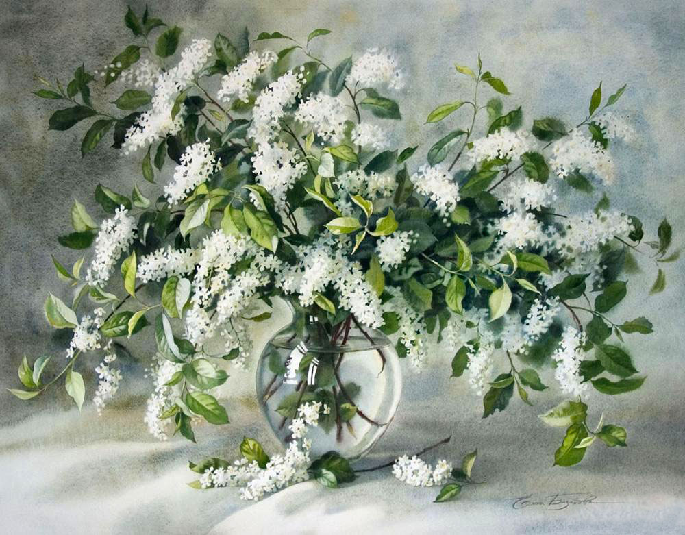 Черёмуха (2)
