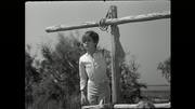 White.Mane.1953.BD.Remux.1080p.Sub (1) 507