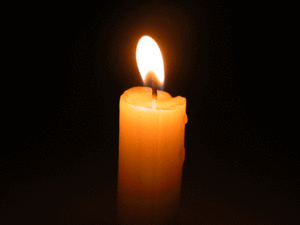 30522388_m.gif