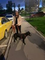 VFL.RU - ваш фотохостинг