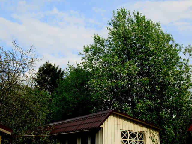 VFL.RU - ваш фотохостинг