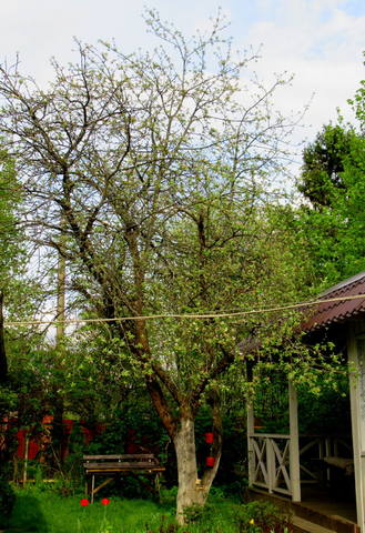 VFL.RU - ваш фотохостинг