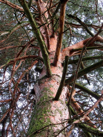 VFL.RU - ваш фотохостинг