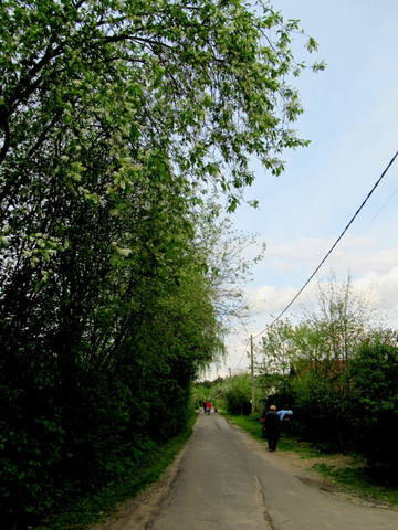 VFL.RU - ваш фотохостинг