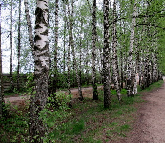 VFL.RU - ваш фотохостинг