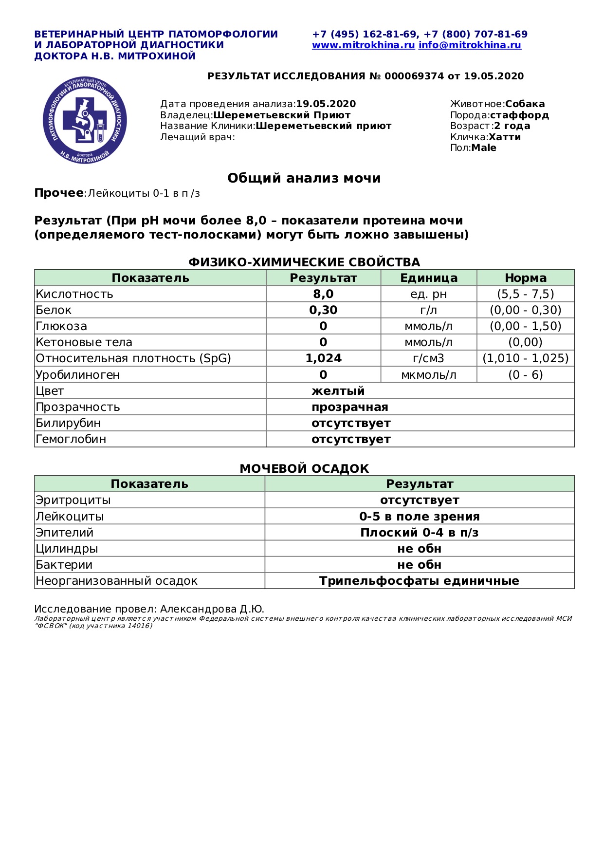 хатти