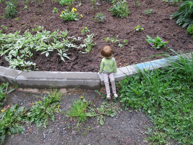 VFL.RU - ваш фотохостинг VFL.RU - ваш фотохостинг