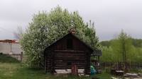 VFL.RU - ваш фотохостинг