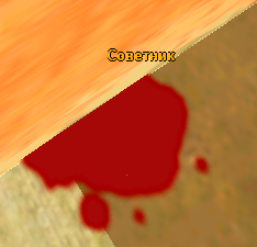 30613043.png