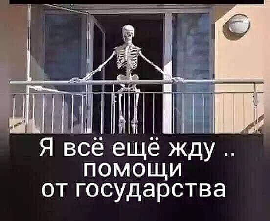 житель1 житель1