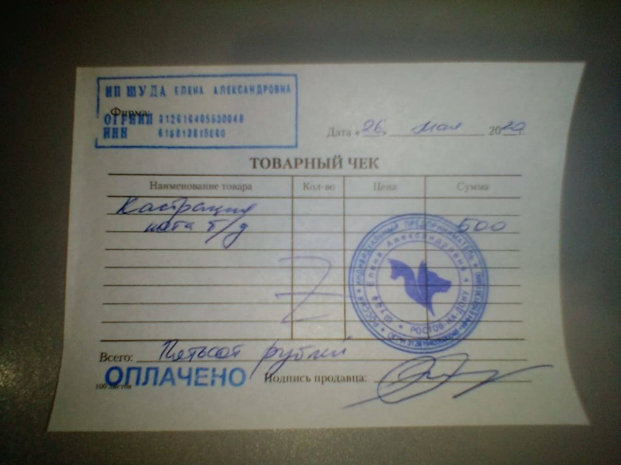 Коты Кристины 3
