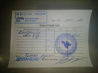 Коты Кристины 3