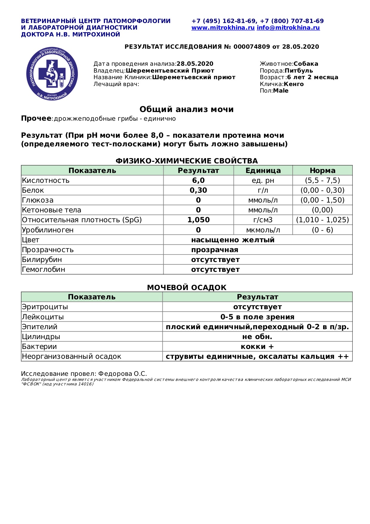 кенга1