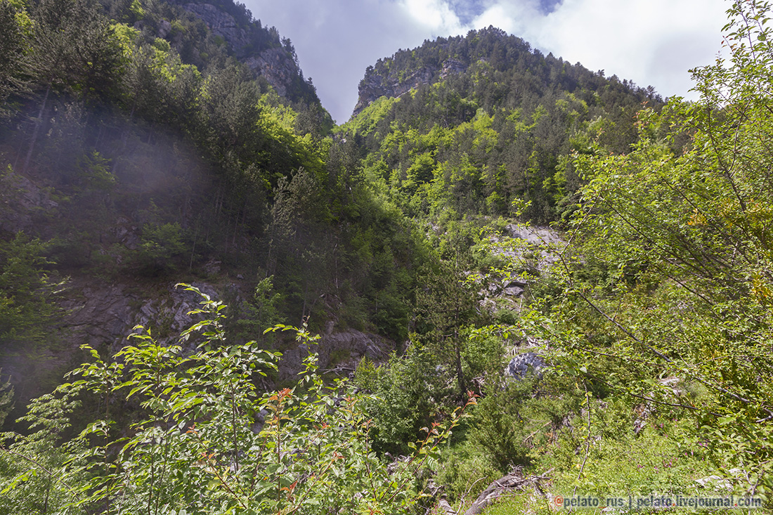Olimpus олимп ущелье лес сосны деревья скалы gorge forest pine trees rocks mountain mountains гора горы Греция Greece