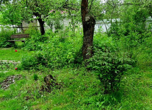 VFL.RU - ваш фотохостинг