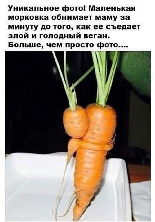 вк2 (2)