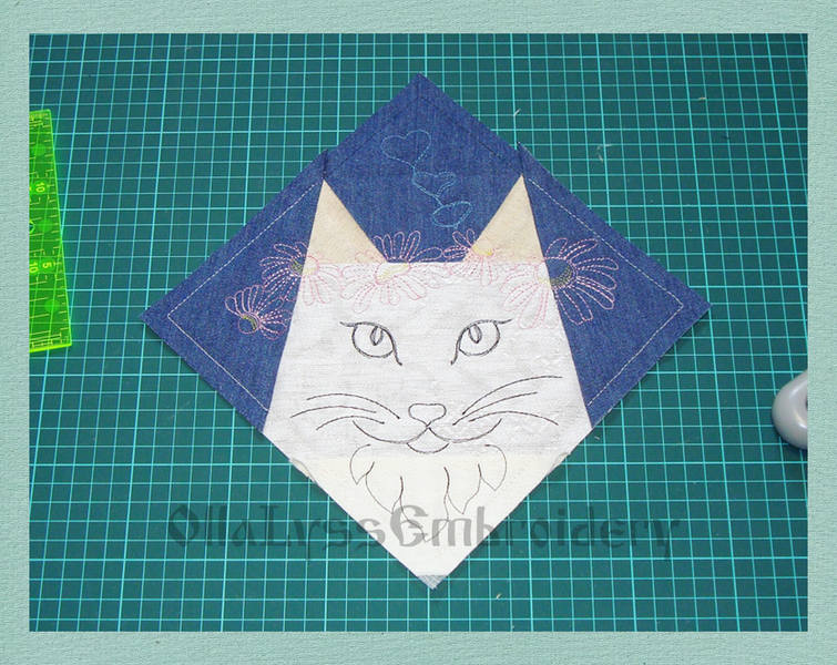 cats1