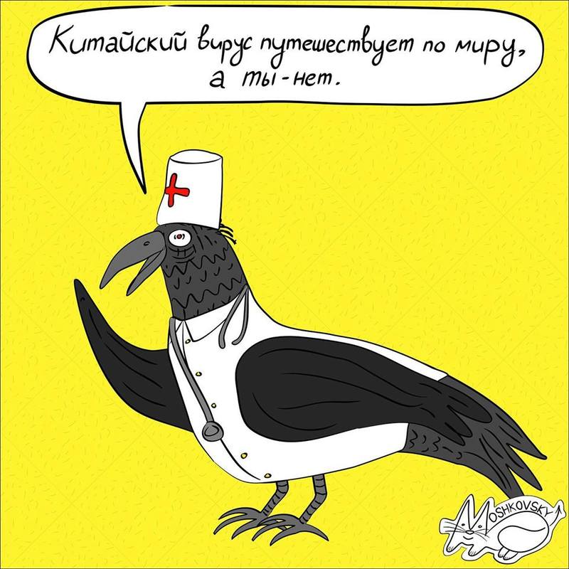 jumor2 jumor2
