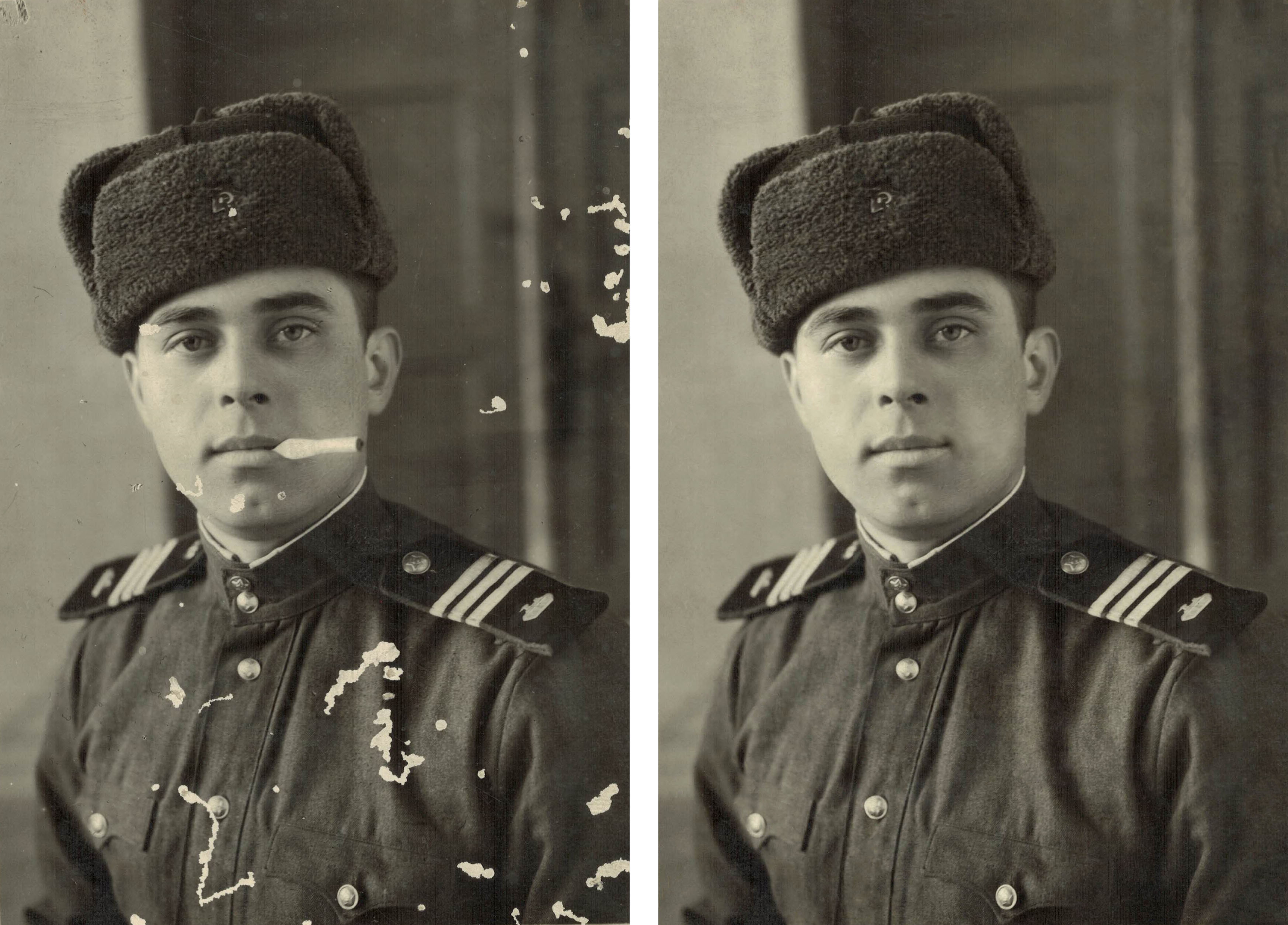 вгд (2)