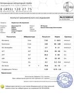 VFL.RU - ваш фотохостинг