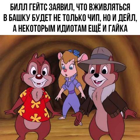 чип