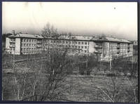 Копия
