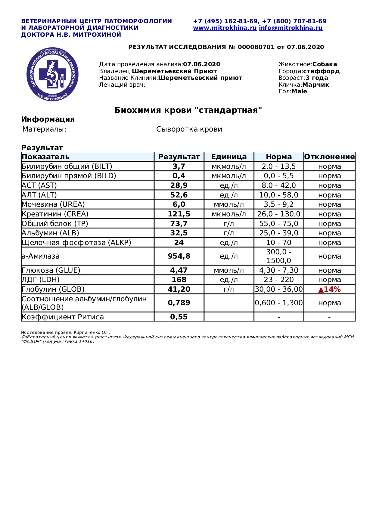 марчик 1