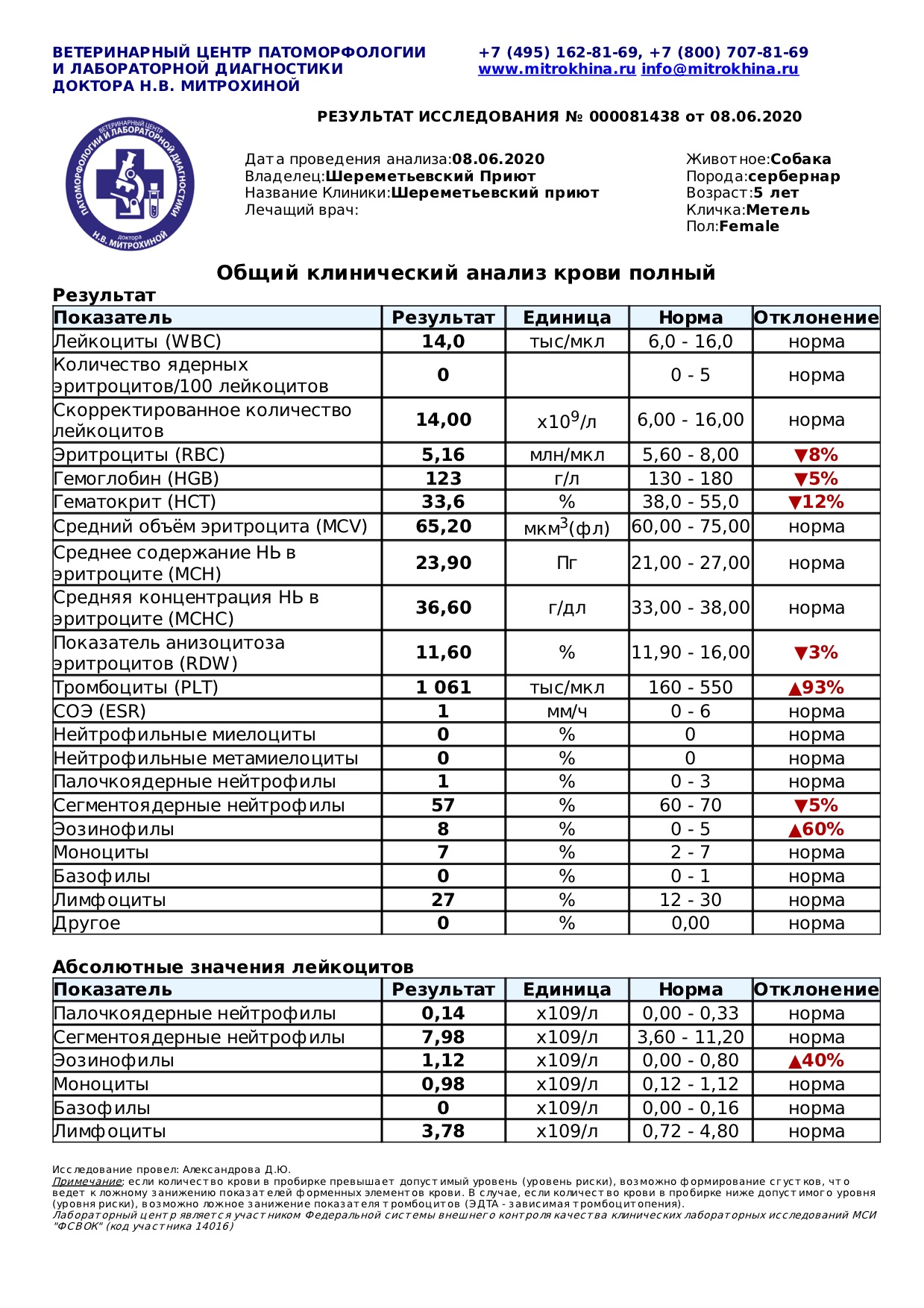 метель