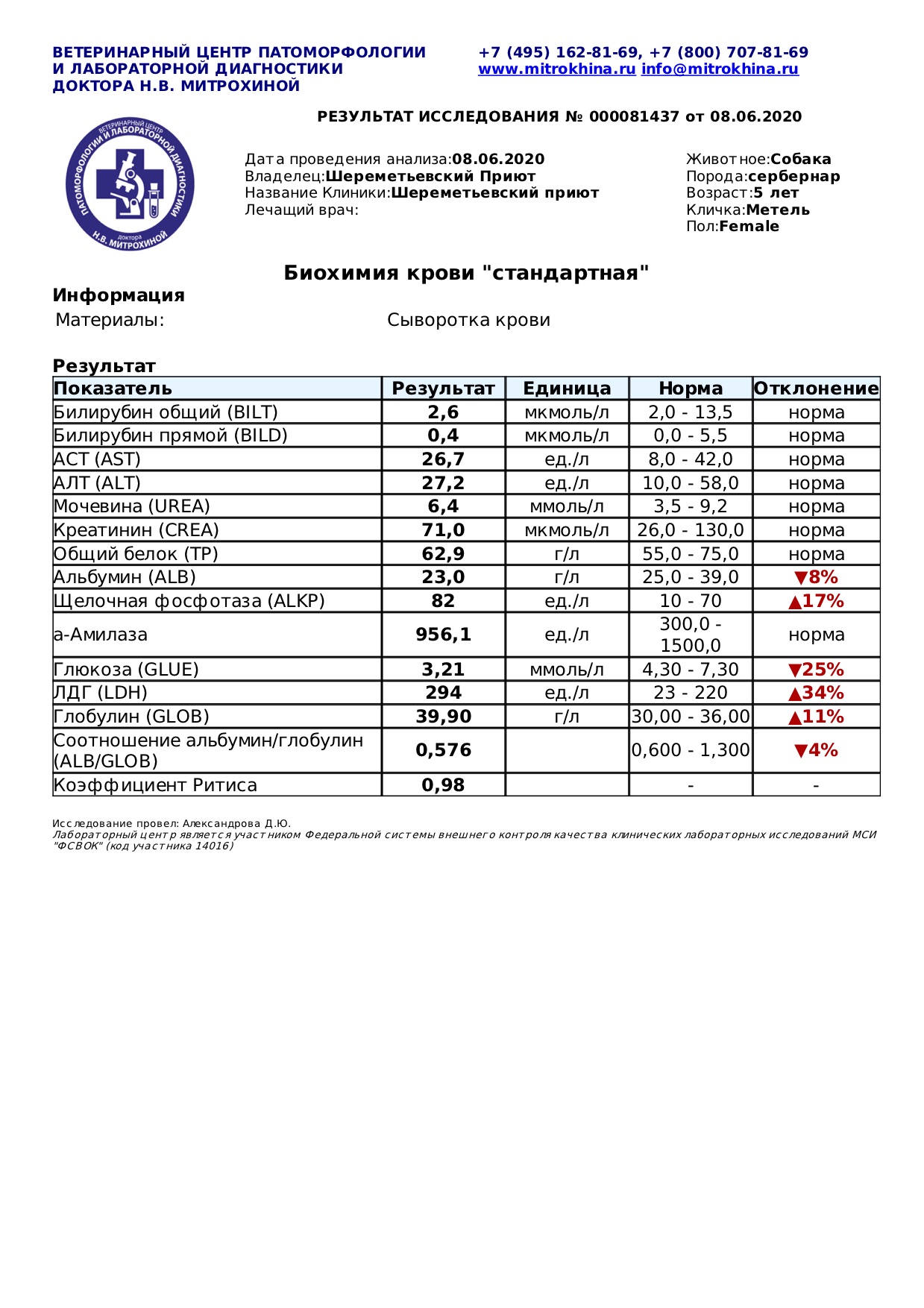 метель 1