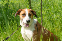 VFL.RU - ваш фотохостинг