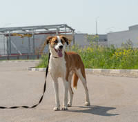 VFL.RU - ваш фотохостинг