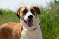 VFL.RU - ваш фотохостинг