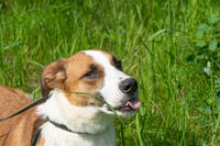 VFL.RU - ваш фотохостинг