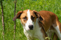 VFL.RU - ваш фотохостинг