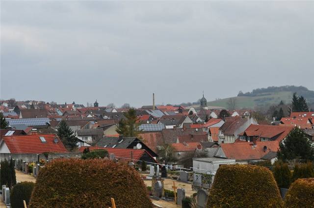 30813751.jpg