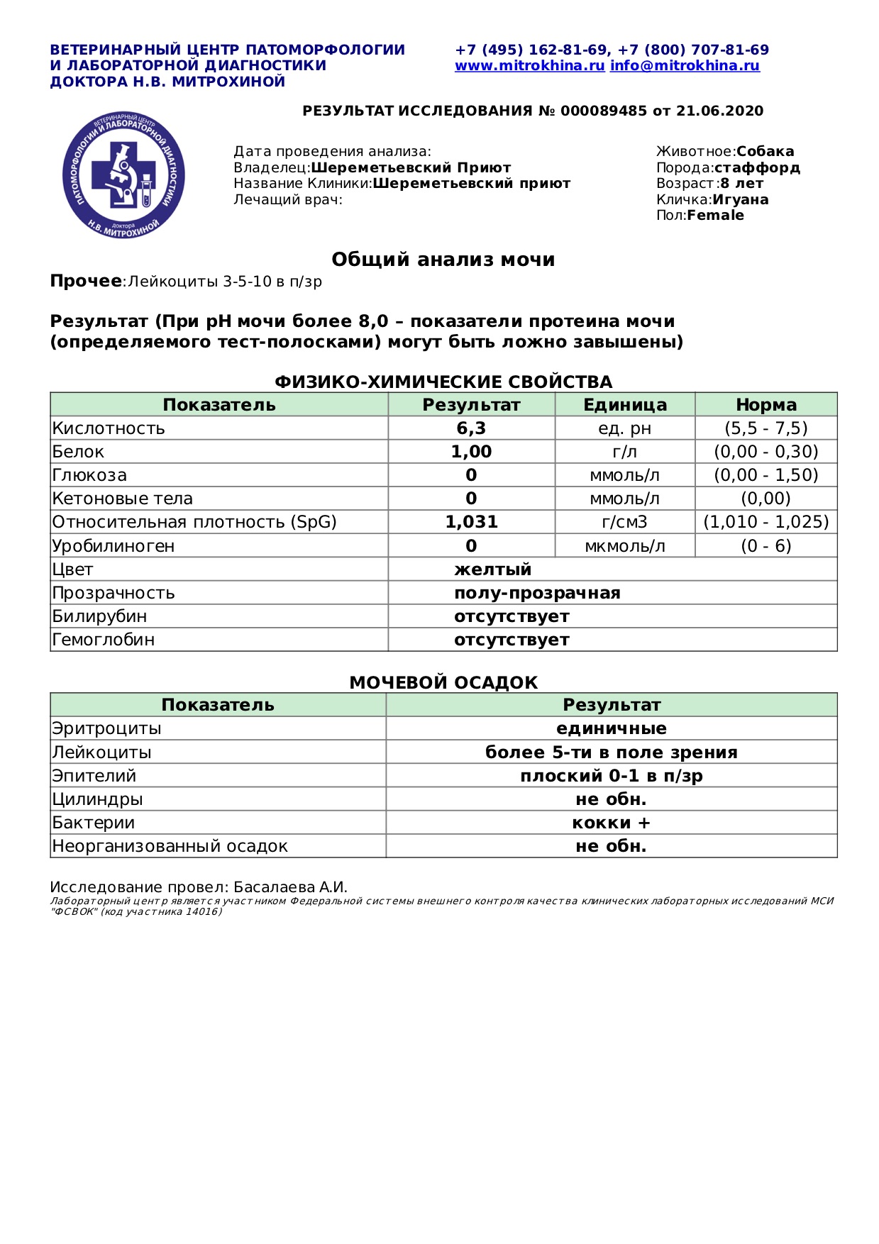 игуана 1