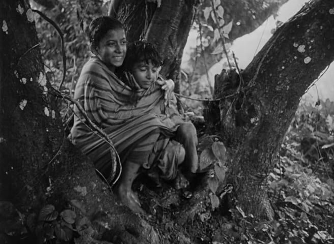 Pather.Panchali.1955.hdrip [1.46] 0804