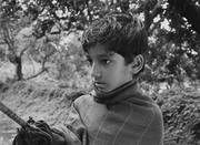 Pather.Panchali.1955.hdrip [1.46] 0936