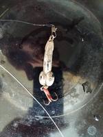 VFL.RU - ваш фотохостинг