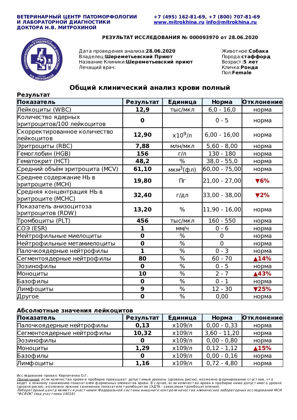 ронда