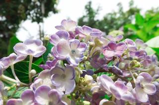 DSCF2964-1