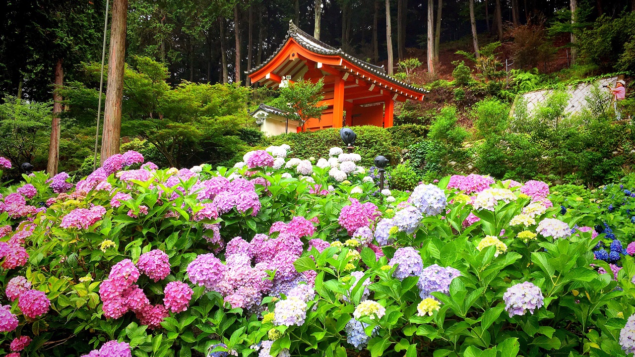 mimuroto-temple-06