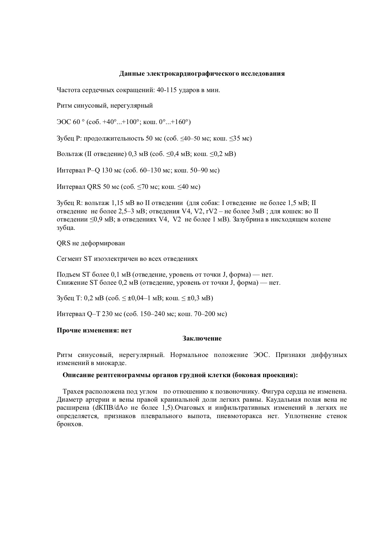 т 6