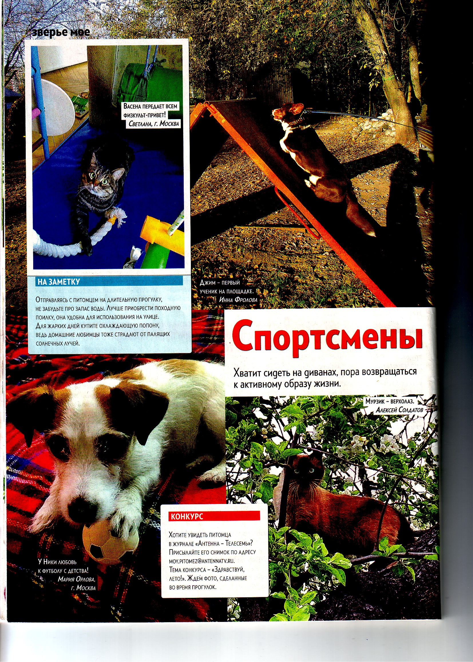 Кот1
