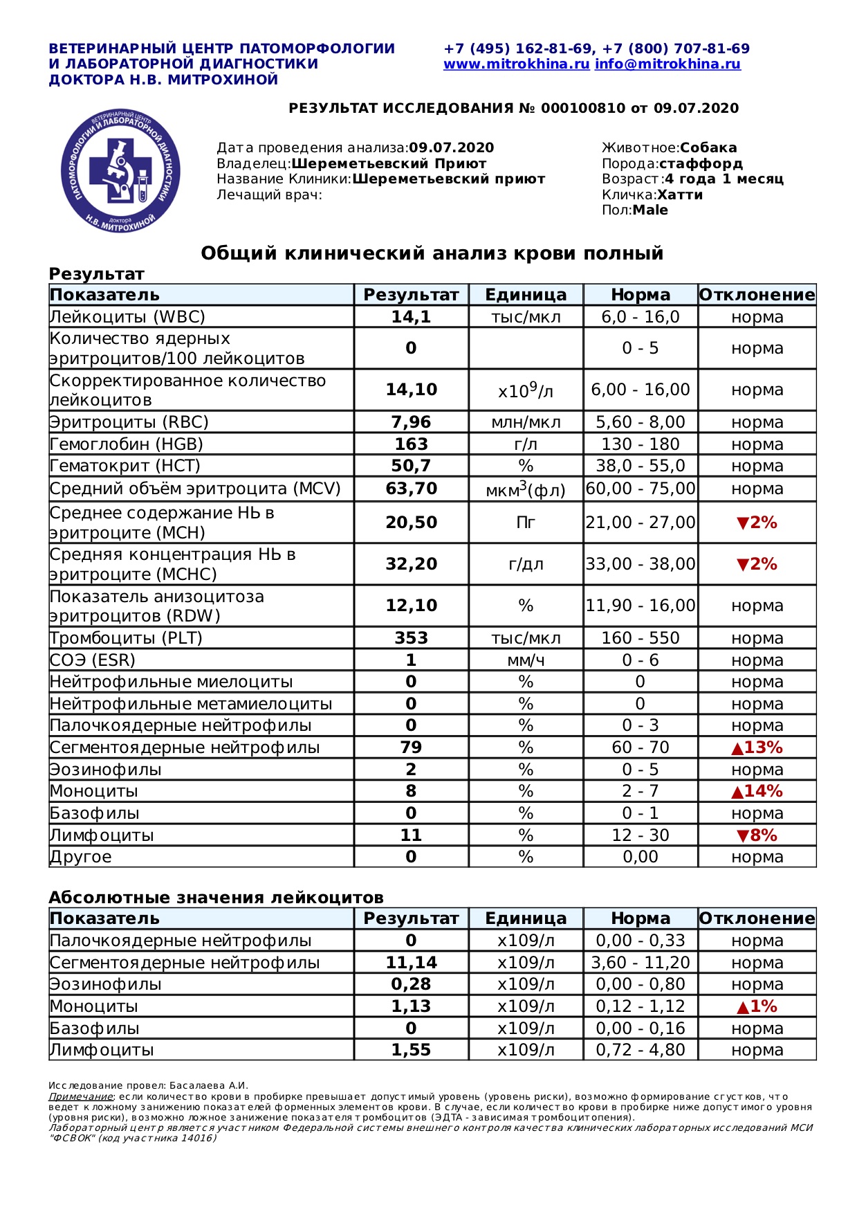 хатти