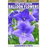 How-to-Grow-Balloon-Flowers-Pin-2