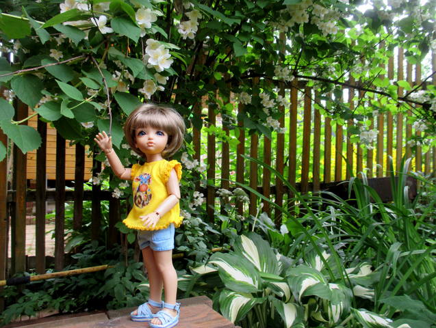 VFL.RU - ваш фотохостинг